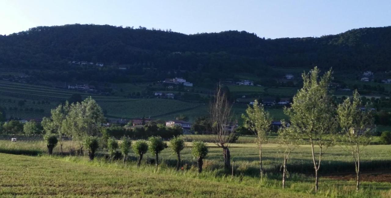 La Pergola Alloggio Brendola Bagian luar foto