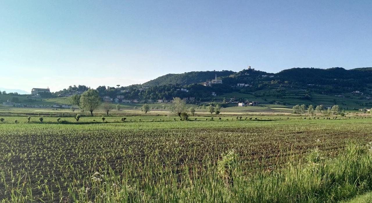 La Pergola Alloggio Brendola Bagian luar foto